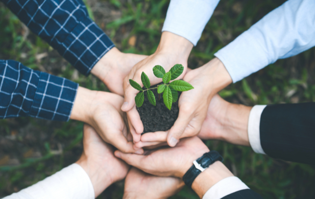 香港教會關懷貧窮網絡:社區轉化模式 錨定北都服事 香港教會關懷貧窮網絡:社區轉化模式 錨定北都服事