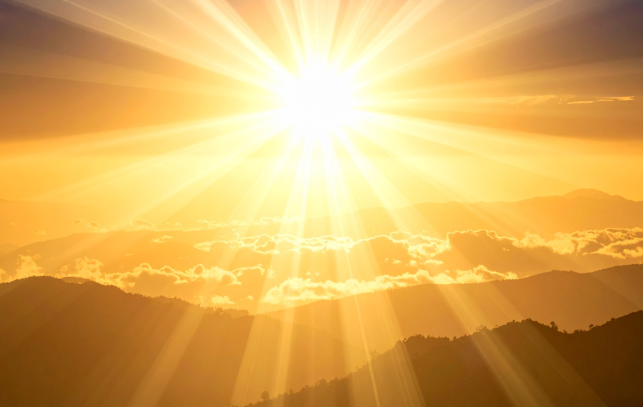 韋艾麗教導 韋艾麗教導