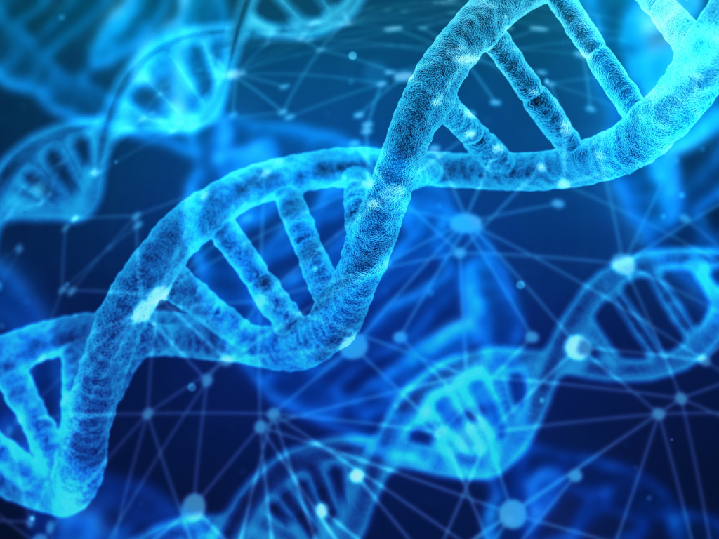 屬靈兒女DNA