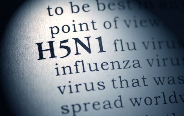 為H5N1高病原性禽流感疫情升溫禱告