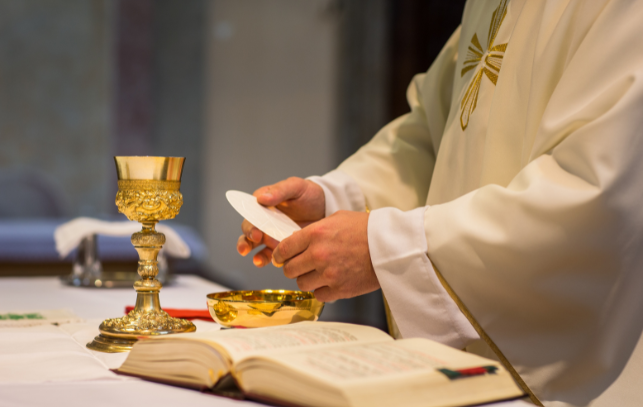 韋艾麗教導 韋艾麗教導