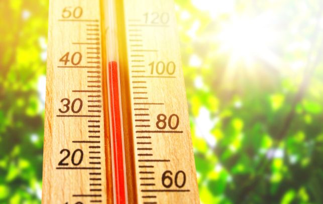 極端氣候影響 今年恐成最熱夏天