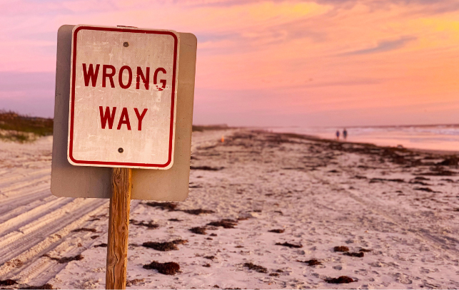 韋艾麗教導 韋艾麗教導