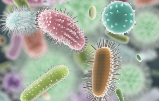 印度通報2立百病例 鄰國加強戒備 印度通報2立百病例 鄰國加強戒備