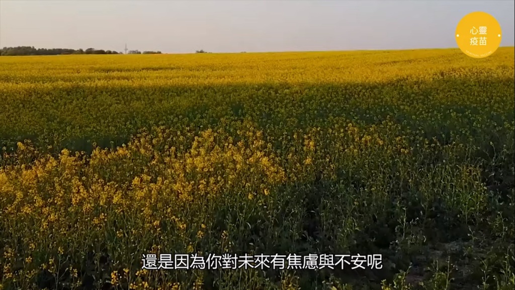 疫情下的心靈牧養》 靈神《心靈疫苗送到家》視頻 安慰疫情中受苦的人心 疫情下的心靈牧養》 靈神《心靈疫苗送到家》視頻 安慰疫情中受苦的人心